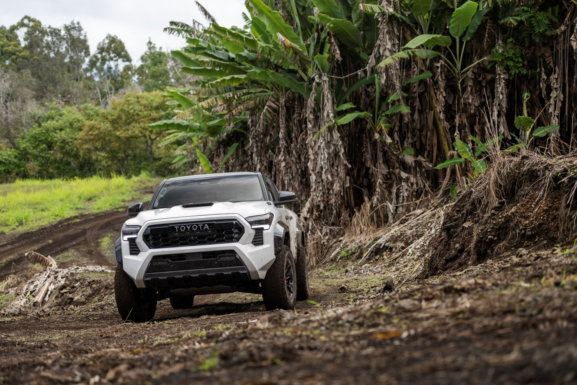 2024 Toyota Tacoma Debuts; Fresh, Modern, Something for Everyone ...