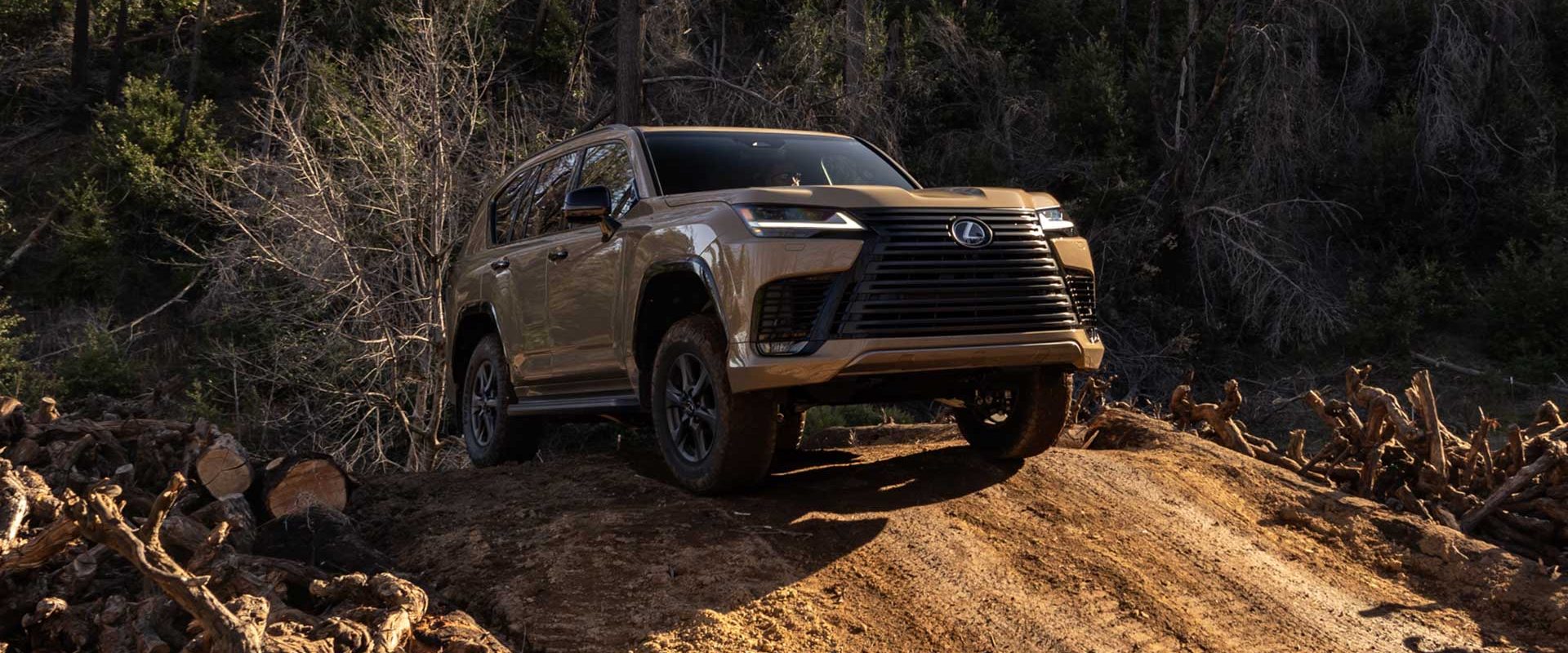 2025 Lexus LX700h